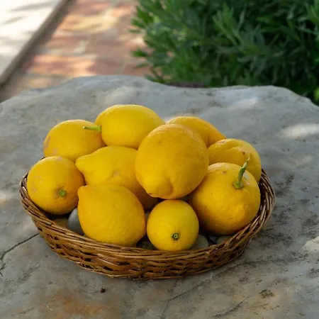Casa Vitoria *